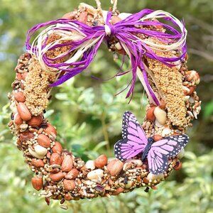 NEW Bird Seed Wreath Tweet MR. BIRD Great Gift!  Edible for Birds Indoor Outdoor
